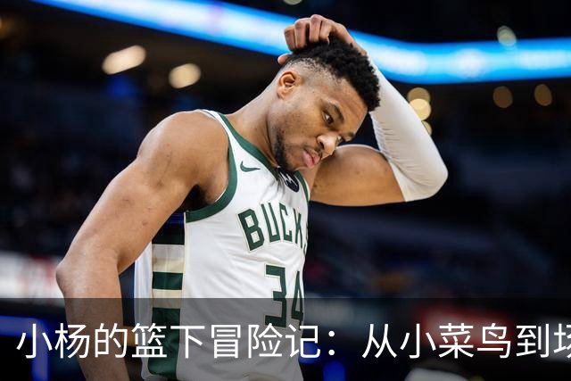 小杨的篮下冒险记：从小菜鸟到场上小英雄！