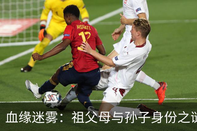 血缘迷雾：祖父母与孙子身份之谜的法律大冒险